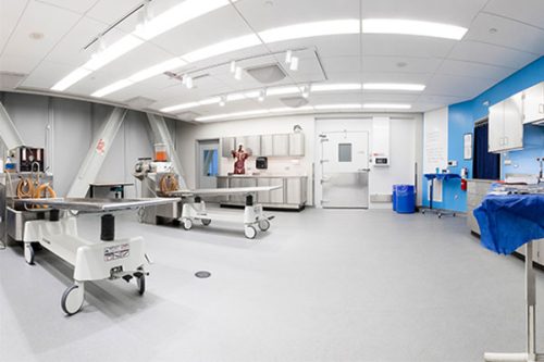 new_funeral_lab_1